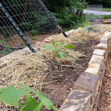 Rock Raised Veggie Garden Bed