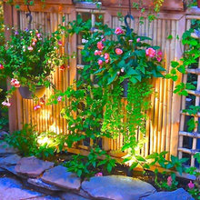 Landscape Ideas