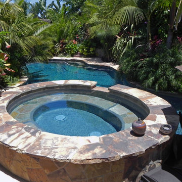 Beautiful Freeform Tropical Pools