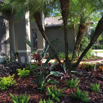 Tina's Tropical Traditional Paradise Front & Back Yard Makeover