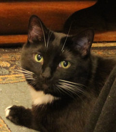Mum says you should never do laundry on new year's day 8 Laundry Room Ideas to Watch For This Year