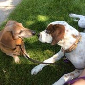 Dan Buchman's photo