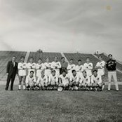 GianCarlo Brandoni's photo