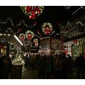 Tracy Stoddard's photo