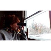 Lisa Wendt's photo