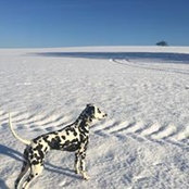 Foto von Sarah Hambury