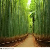 Myat Noe's photo
