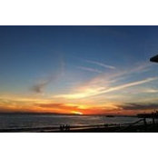 Jina Han's photo