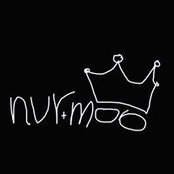 Nur Moos billede