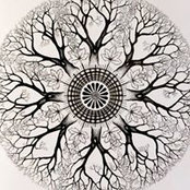 Marla Bird's photo