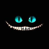 Adam Woods's photo