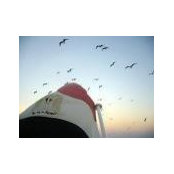 Hany Eldalys foto