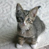 Margie Fuller's photo