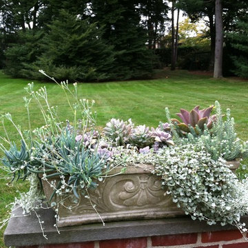 container gardens
