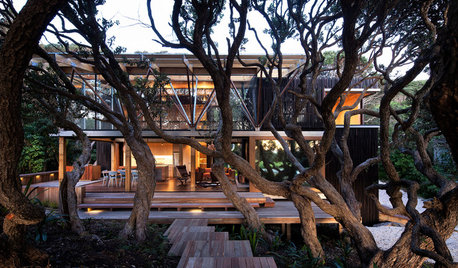 Neuroarchitecture, a Movement at the Forefront of Design
