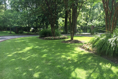 Пример оригинального дизайна: большой регулярный сад на переднем дворе в классическом стиле с полуденной тенью