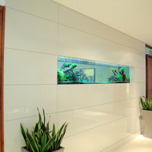 aquarium