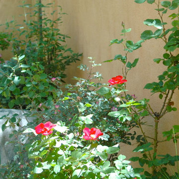 Allendale Garden