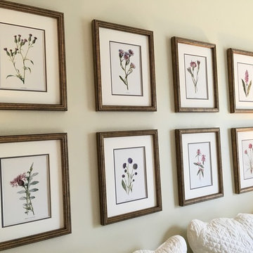 Botanical Prints