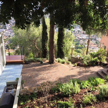 Hillsides, Drought Friendly