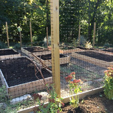 Raised Beds