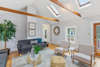 Transitional living room photo in Boston