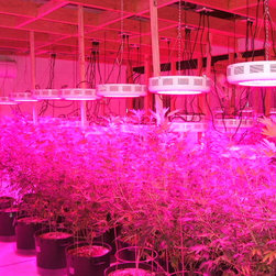 LED Aquarium Light - Products