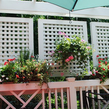 Deck Longmont
