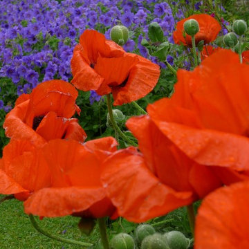 My Gardens