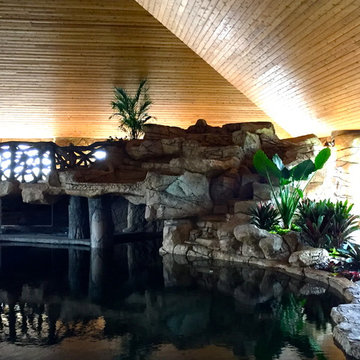 Tropical front & backyard landscapes....Palms & Color
