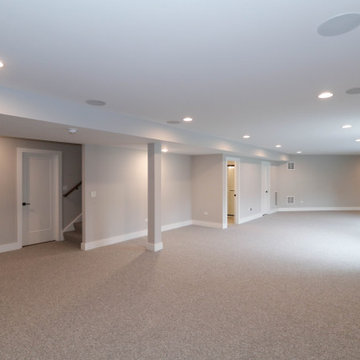 Modified Laguna | Downers Grove, IL