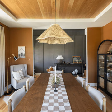 Warm Modern Whole-House Remodel in Hawthorn Woods, IL