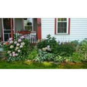 Sandra Mastin's photo