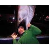 Todd Schneider's photo