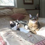 Carmen Gustafson's photo