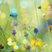 Melissa Hoekert's photo