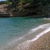 Francesca Foschi's photo