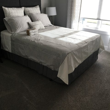 Carpet Selection and Install