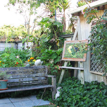Vignettes