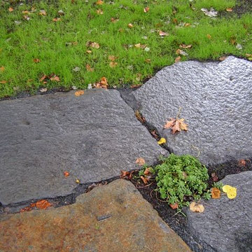 Shade patio edge with new grass and planted cracks, mica reflecting light
