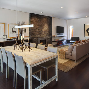 Offenes, Mittelgroßes Modernes Esszimmer mit dunklem Holzboden, weißer Wandfarbe, Gaskamin, Kaminsims aus Metall und braunem Boden in Milwaukee
