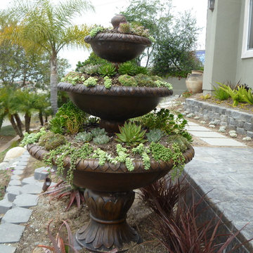 Redondo Beach succulent garden