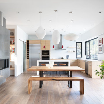 Dining Room/Kitchen/Fireplace
