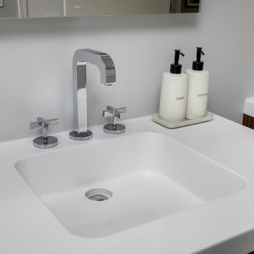 South Loop Bathroom Renovation: A mix of Contemporary and Classic Design