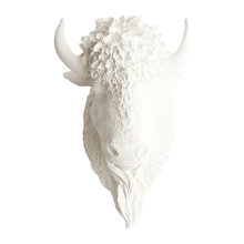 Bison