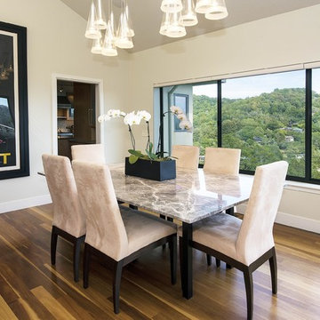 Hillcrest Custom Contemporary