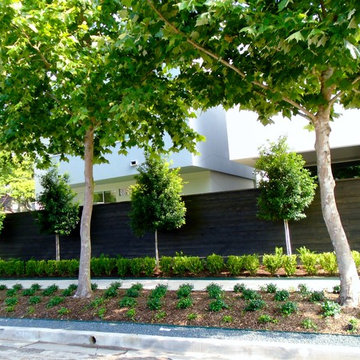 Modern Living