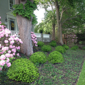 Olde Maine