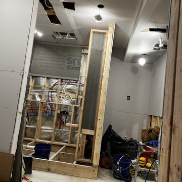 Basement Remodel