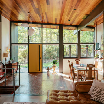Mid-Century Home Renovation